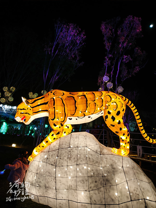 2020taiwan-lantern-festival-27.jpg 2020taiwan-lantern-festival-27.jpg