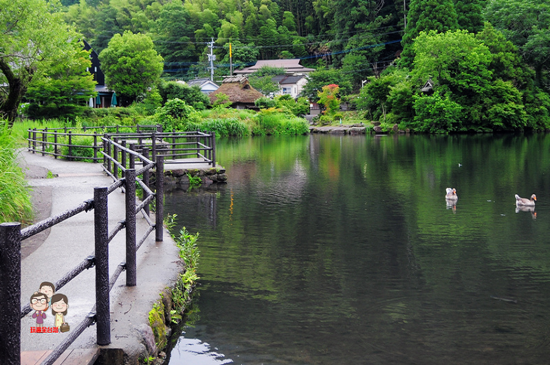 DSC_4353.jpg DSC_4353.jpg