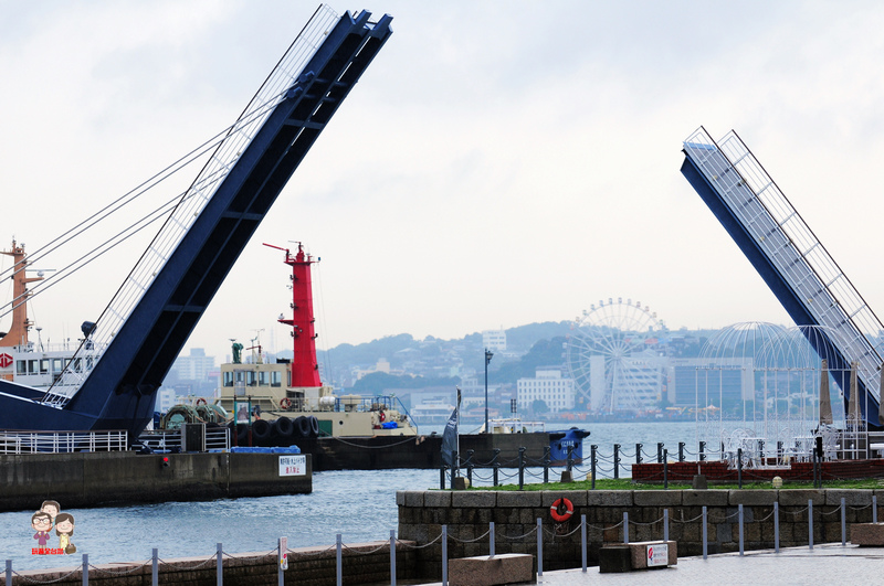DSC_4635.jpg DSC_4635.jpg