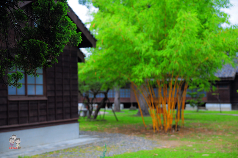 DSC_9286.jpg DSC_9286.jpg