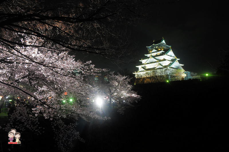 DSC_0876.jpg DSC_0876.jpg