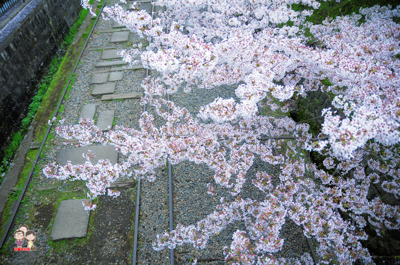 DSC_1249.jpg DSC_1249.jpg