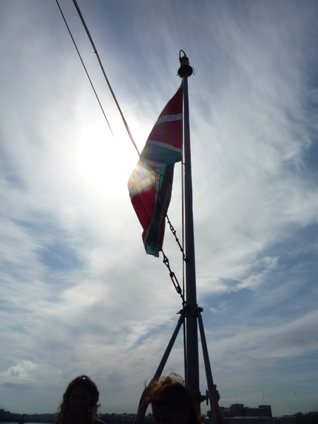 Flag of the Aurora Cruiser