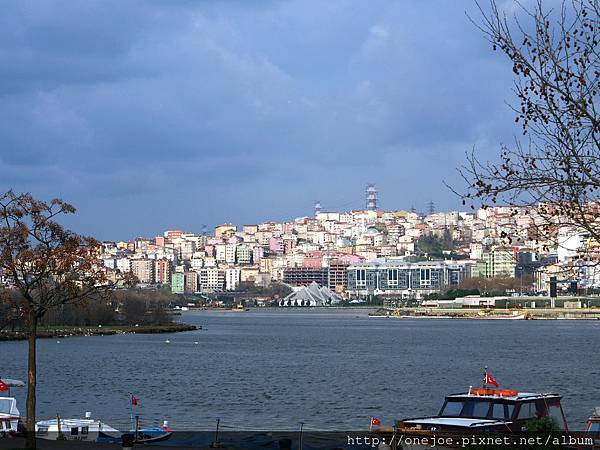 P3135293.JPG