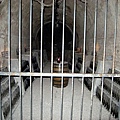 DSCN1585.JPG