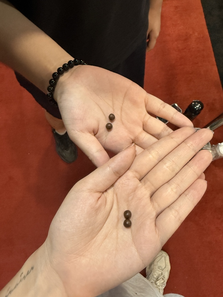 【保養】健一 KENICHI|活力補給、強健體力💪健身族必備 【保養】健一 KENICHI|活力補給、強健體力💪健身族必備