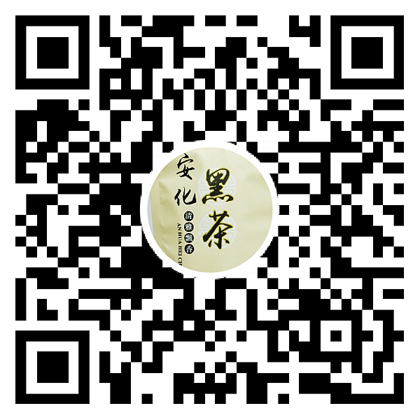 安化黑茶qrcode.png