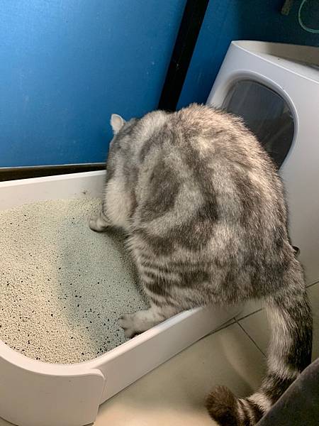 13966783588167.jpg 13966783588167.jpg