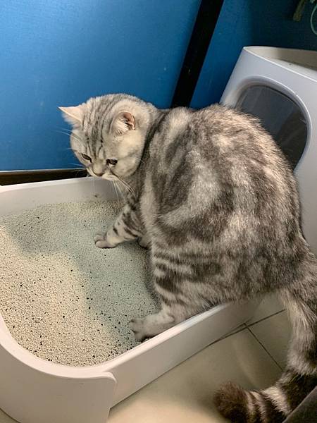 13966783568024.jpg 13966783568024.jpg