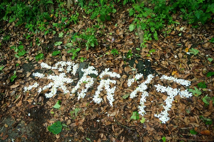 01.JPG 01.JPG