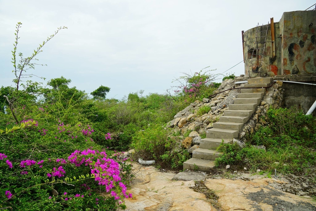 穿越層層小徑