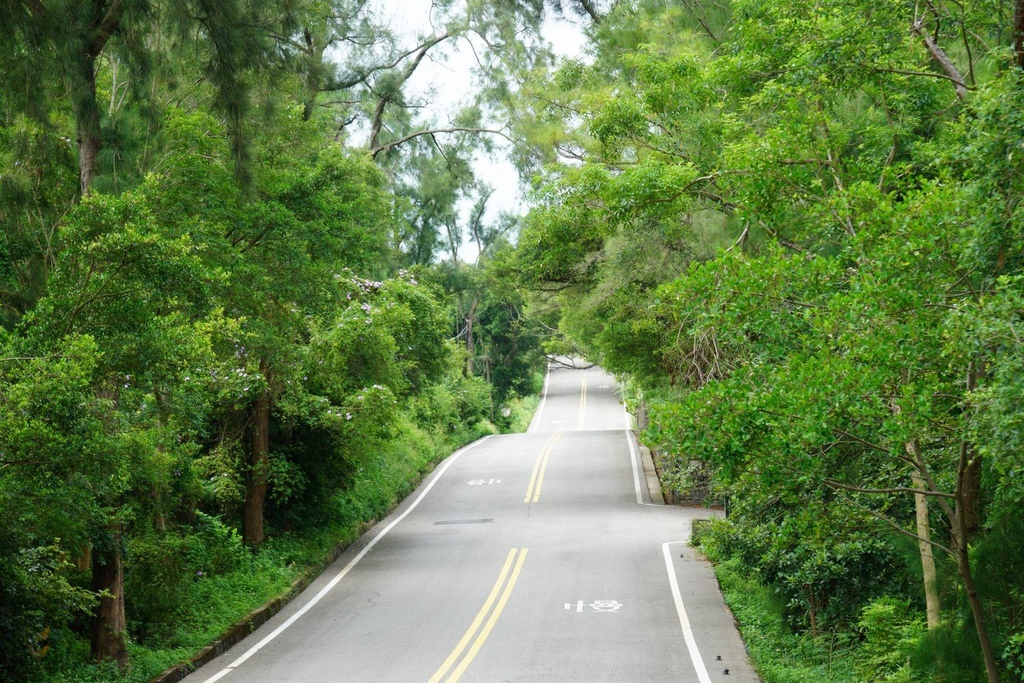 21585697_1588191547867967_1657953696_o.jpg 在這種幽靜的小路騎著車,很容易就不小心被奇特的景色所吸引住