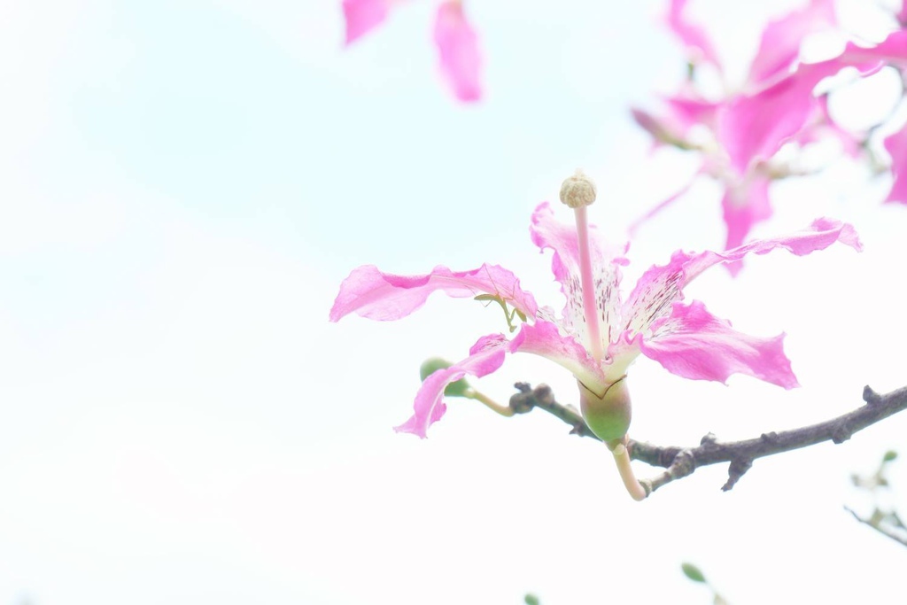 21640546_1588192681201187_720010440_o.jpg 21640546_1588192681201187_720010440_o.jpg