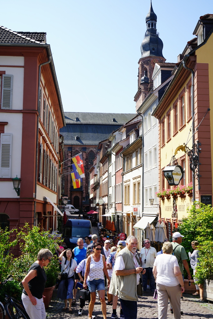 DSC01961.JPG DSC01961.JPG