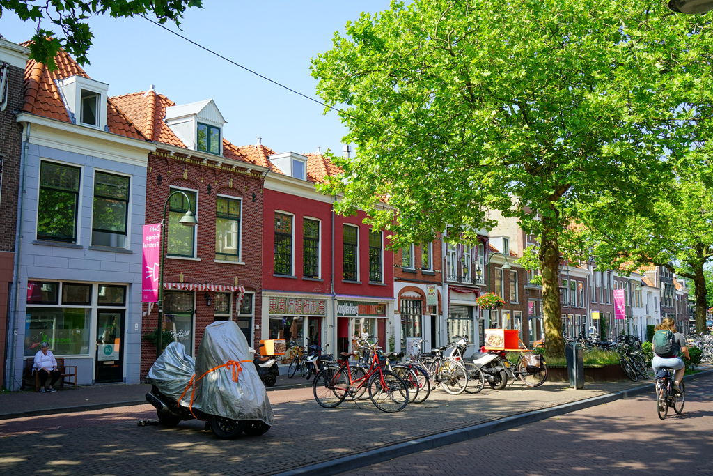 DSC03134.JPG DSC03134.JPG