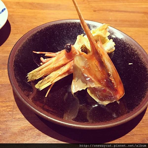 thumb_IMG_7312_1024.jpg thumb_IMG_7312_1024.jpg