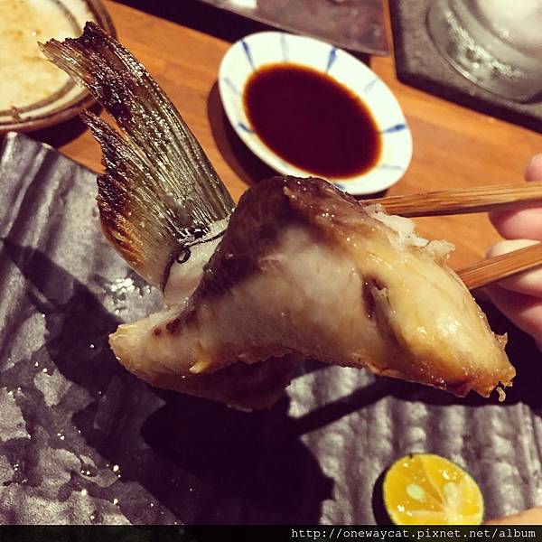 thumb_IMG_7314_1024.jpg thumb_IMG_7314_1024.jpg