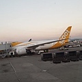 SCOOT B787