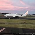 15. JAL B737-800 JA321J.jpg