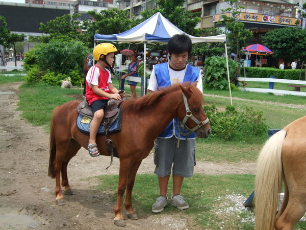 正太與小馬.JPG