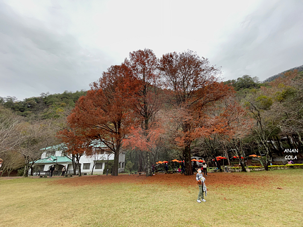 202112 - 12_Fotor.png 202112 - 12_Fotor.png