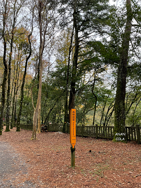 202112 - 46_Fotor.png 202112 - 46_Fotor.png