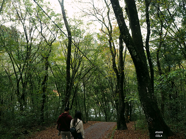 202112 - 90_Fotor.png 202112 - 90_Fotor.png