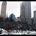 紐約純粹看雪景.gif