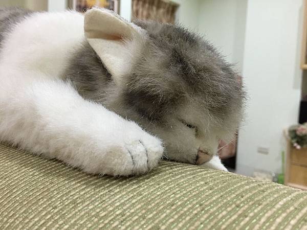 IMG_6554.jpg IMG_6554.jpg