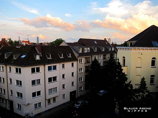 IMG_2141