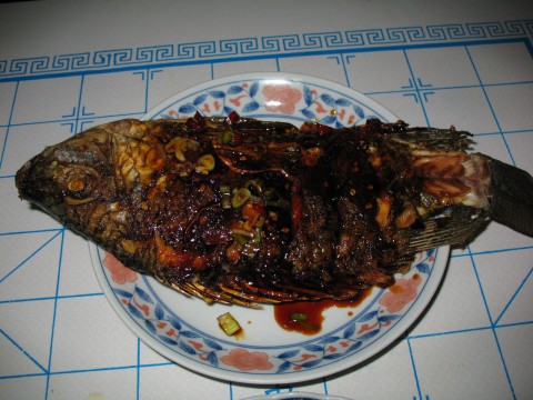 魚 魚