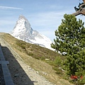 Day3_Zermatt (74).JPG