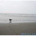 後龍海邊3.jpg