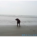 後龍海邊5.jpg