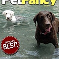 PETFANCY.jpg