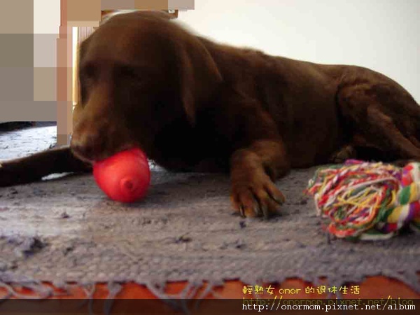 kong1.jpg kong1.jpg