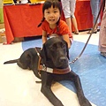 導盲犬-15.jpg