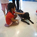 導盲犬-19.jpg