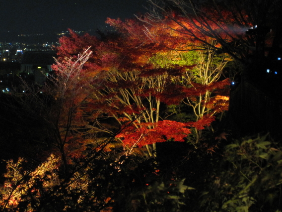 清水寺夜楓