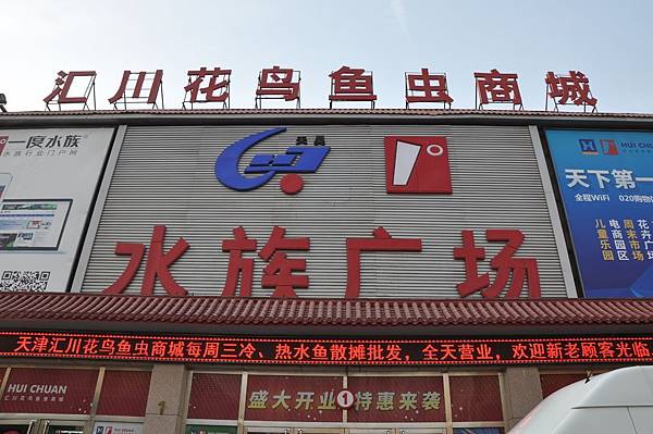 DSC_0017.jpg DSC_0017.jpg