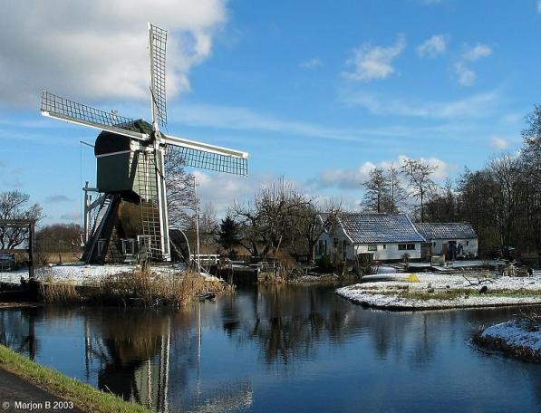 冬日的荷蘭鄉野