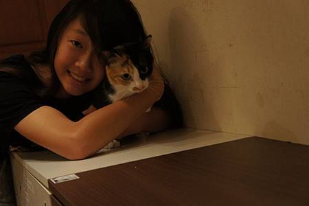 DSC08355 DSC08355
