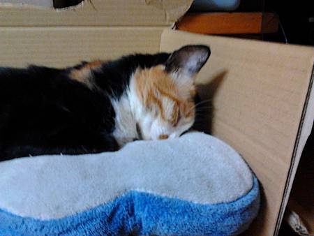2012-10-01 22.52.28 2012-10-01 22.52.28