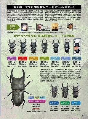 能勢SR血統 S16 種親87.4mm×早期48mm 初～2令幼虫5頭 日本大鍬形蟲Dorcus hopei binodulosus 87mm*56mm 純日血能勢SR血統