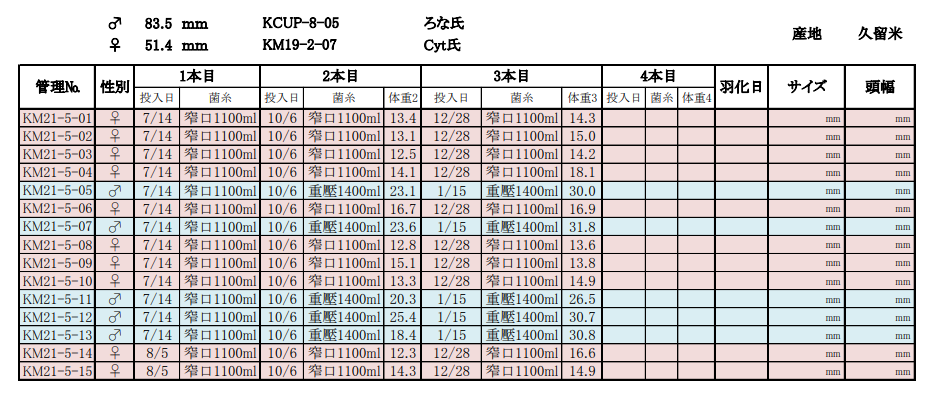 KM21-5 第二次換菌.png