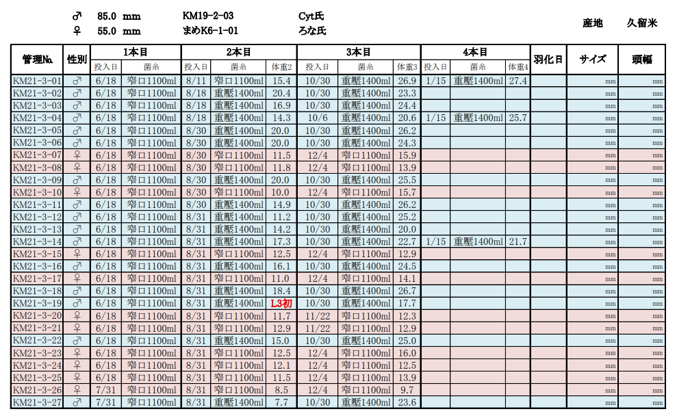 KM21-3 第二次換菌.png