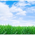 green-grass-blue-sky.jpg