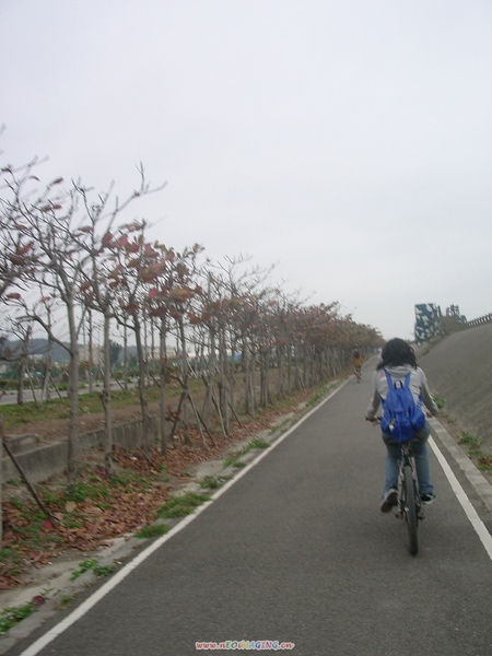 騎腳踏車讚這邊拍其實感覺還不錯