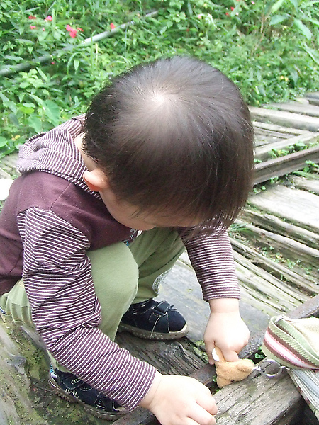 一直要把熊鼻子塞到縫裡@@