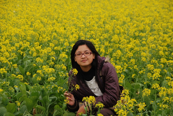 油菜花田~~